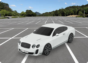 Vehicle step 1